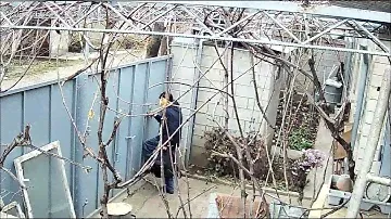 Тирасполь пер. Заречный 43 КОНОПЛИ ПОЛНЫЙ ЛЕГКИЙ РЮКЗАК =НА ОБРАБОТКУ