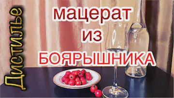 💥 Мацерат из боярышника 🍒на LUXSTAHL 7M💥